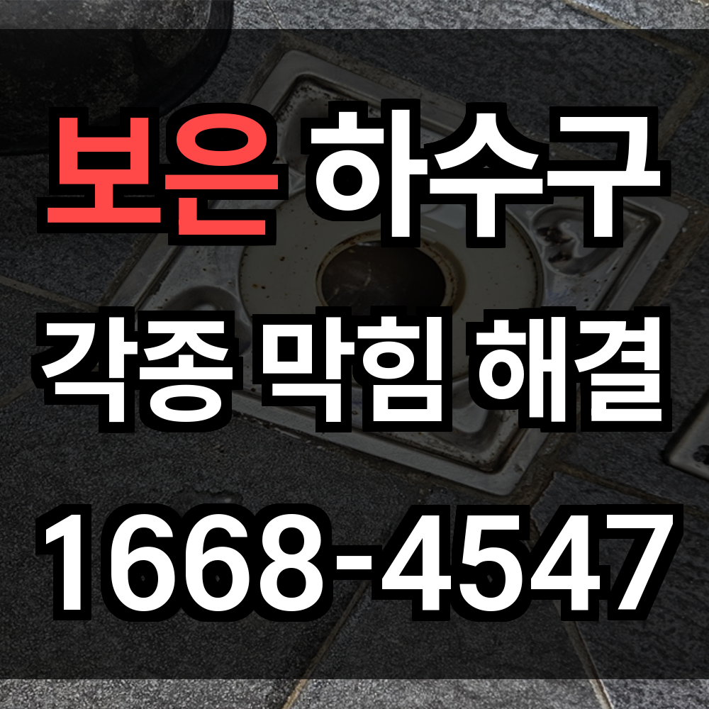 보은 하수구막힘