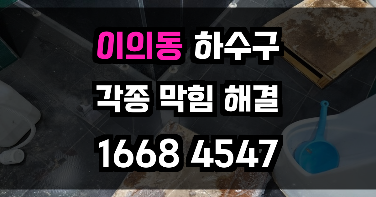 이의동 하수구 막힘