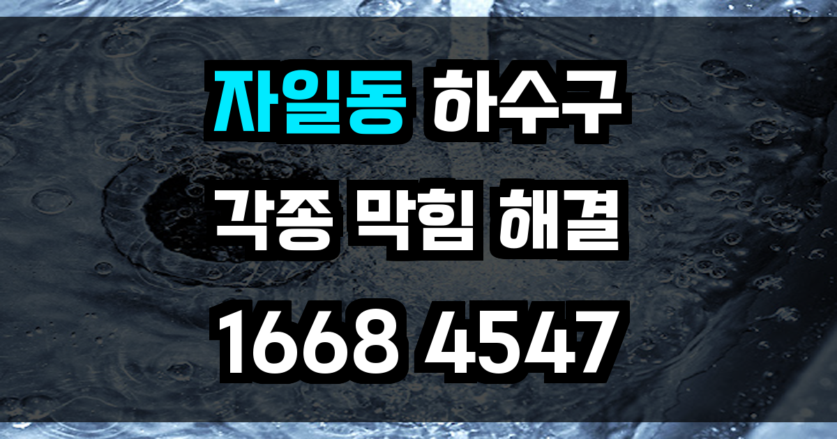 자일동 하수구 막힘