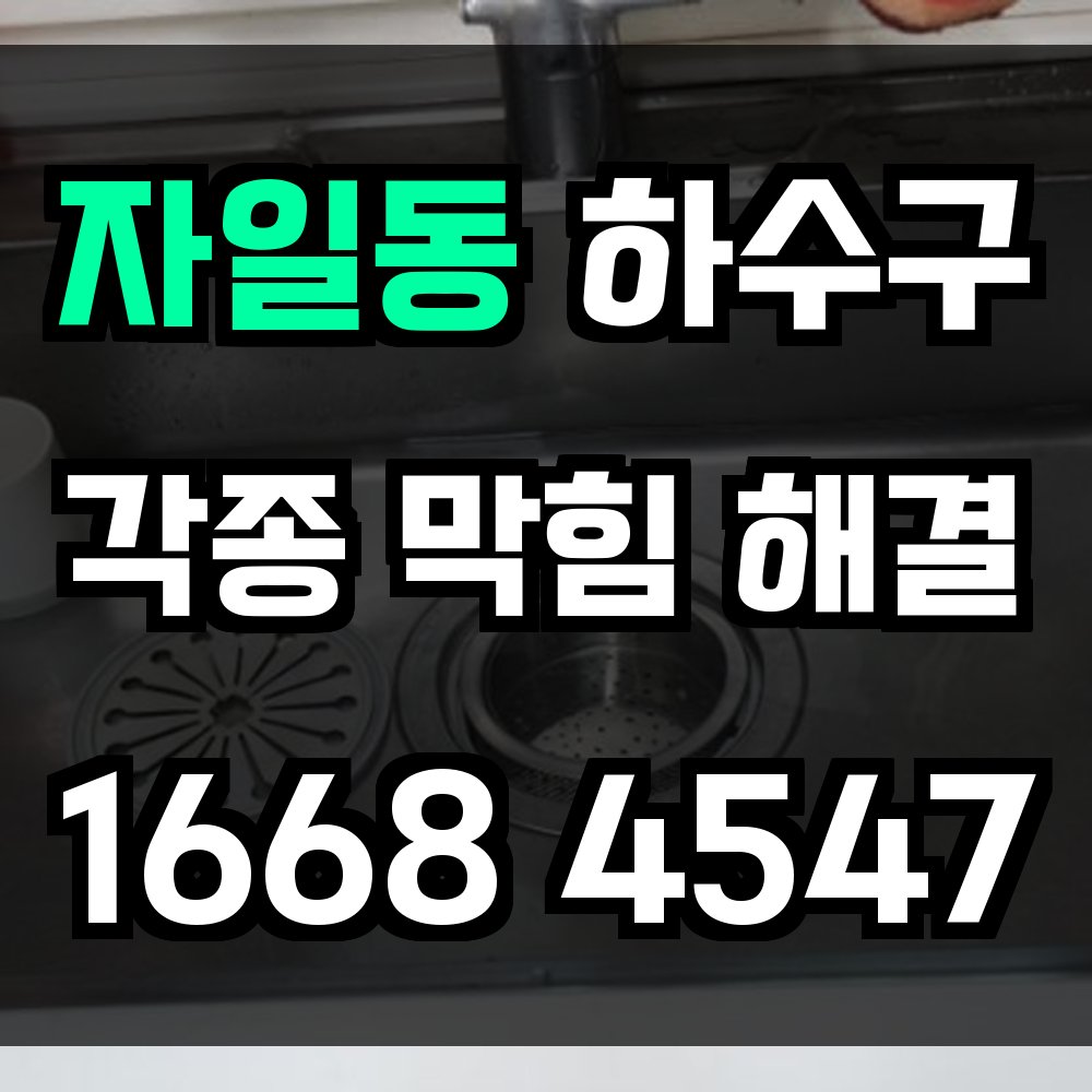 자일동 하수구 막힘