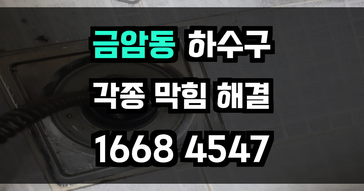 금암동 하수구막힘