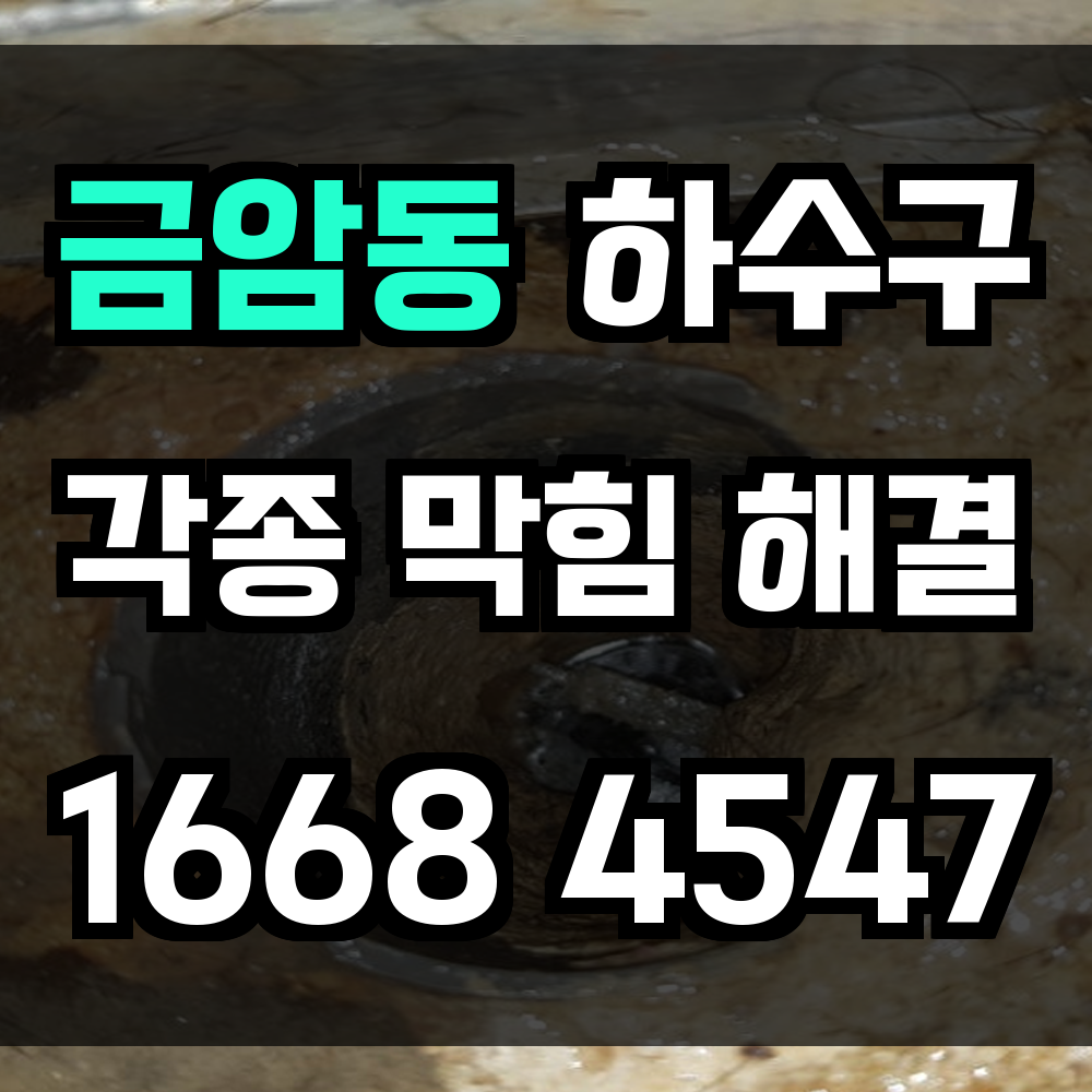 금암동 하수구막힘