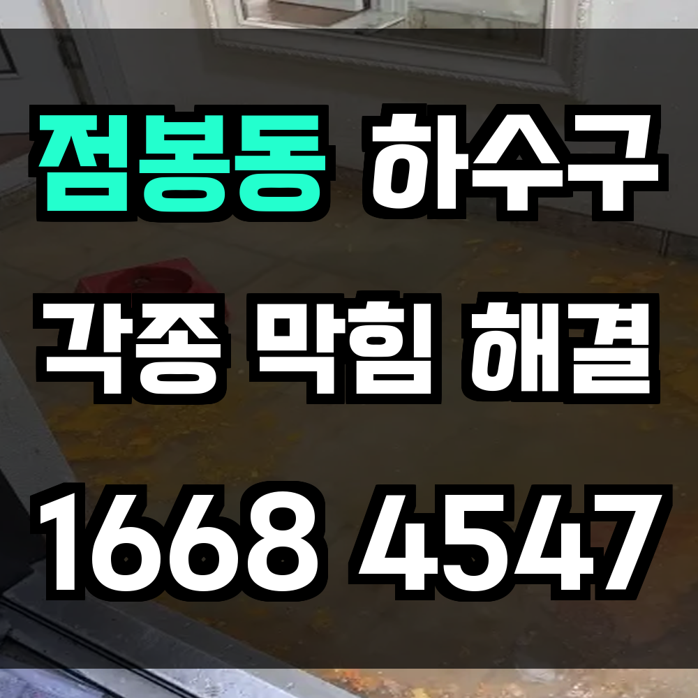 점봉동 하수구 막힘