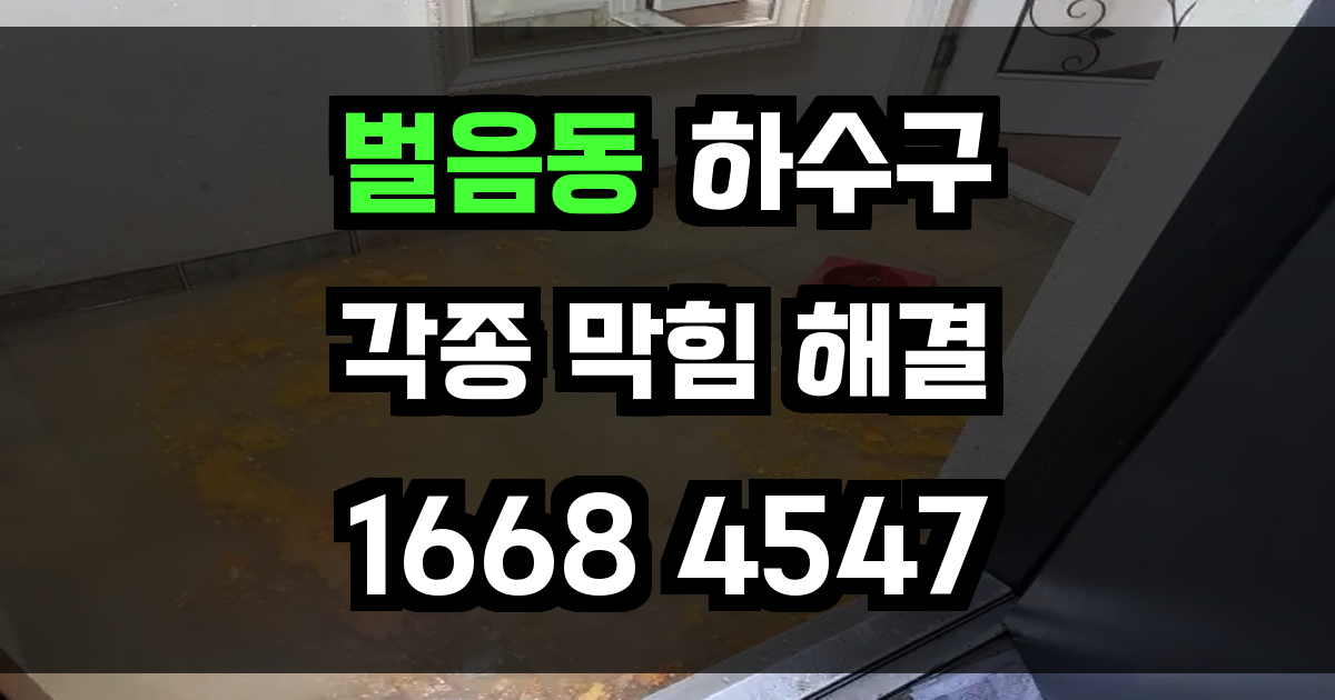 벌음동 하수구막힘