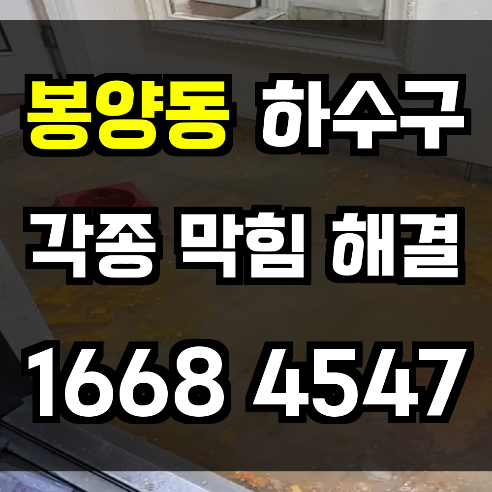 봉양동 하수구막힘