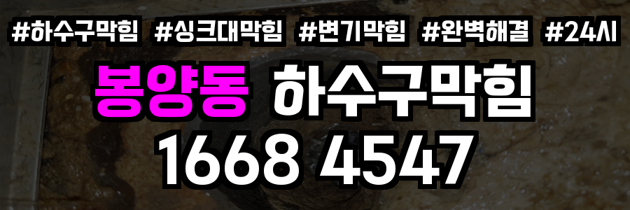 봉양동 하수구막힘