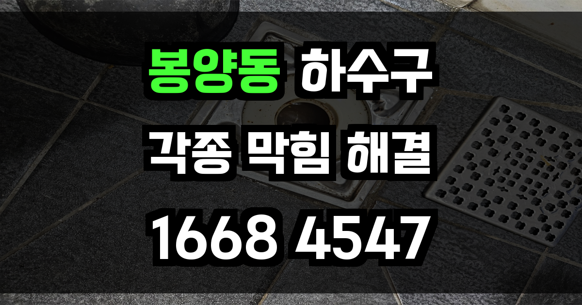 봉양동 하수구막힘