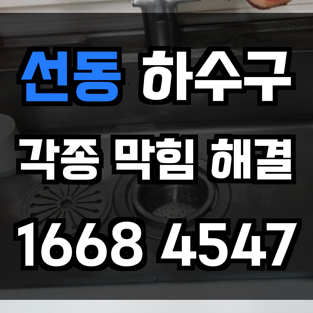 선동 하수구막힘