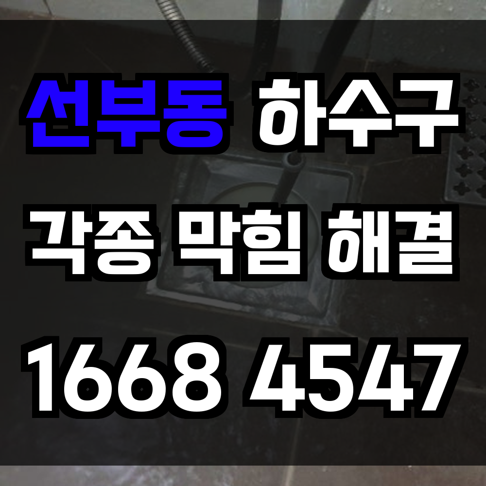 선부동 하수구막힘