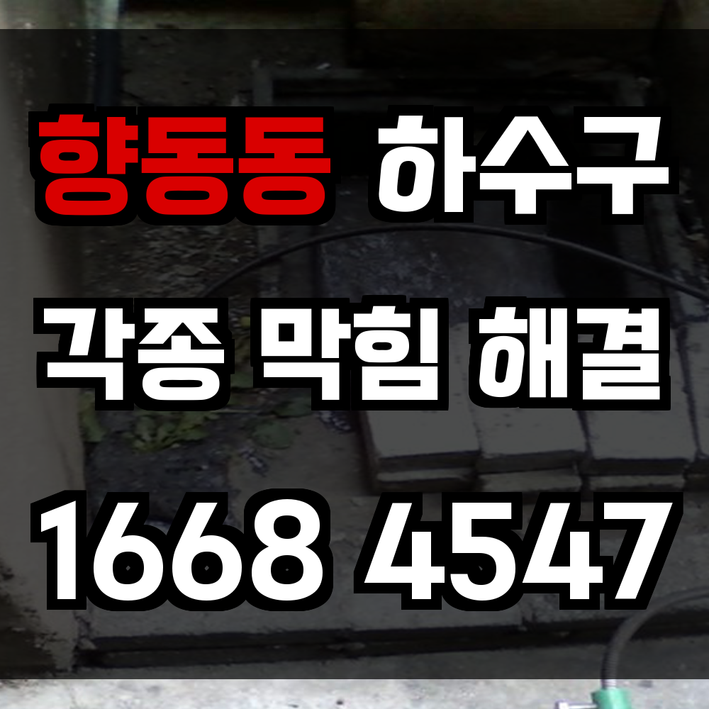 향동동 하수구막힘