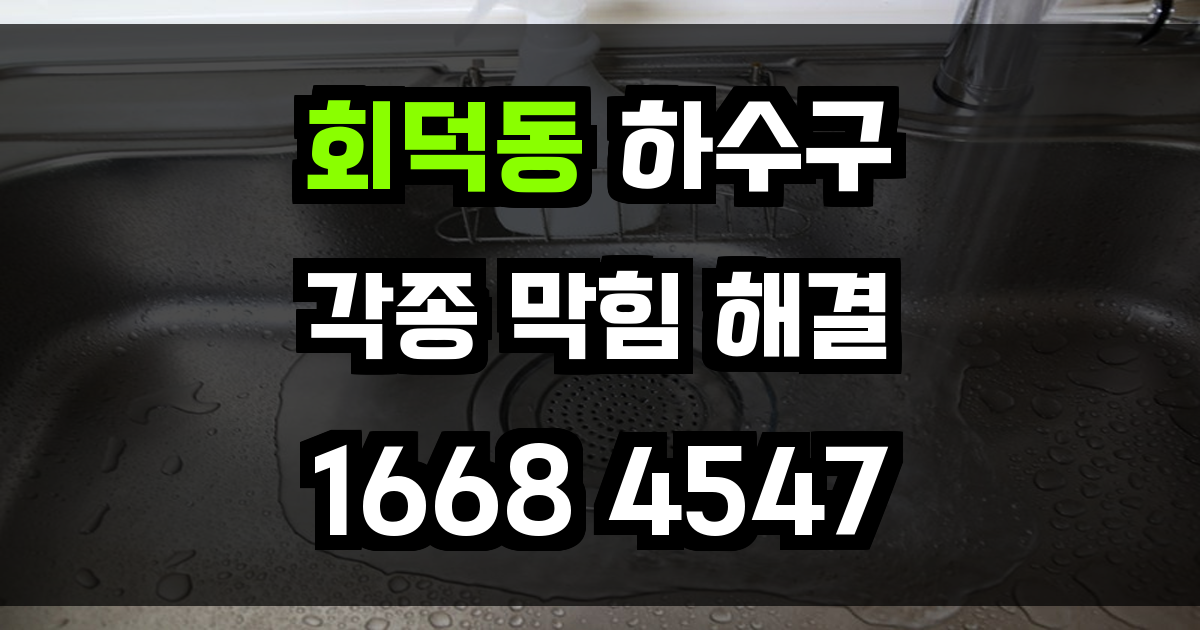 회덕동 하수구막힘