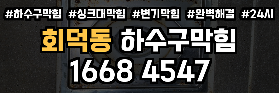 회덕동 하수구막힘