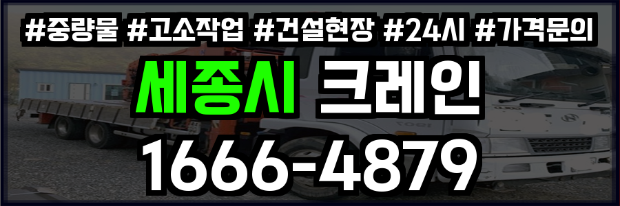 세종시 크레인 비용