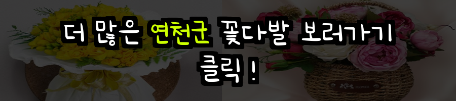 연천군 꽃배달