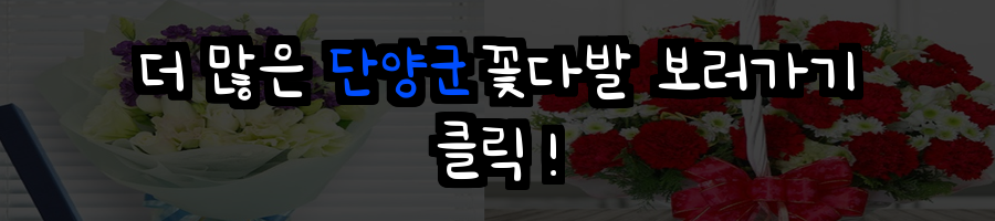 단양군 꽃배달