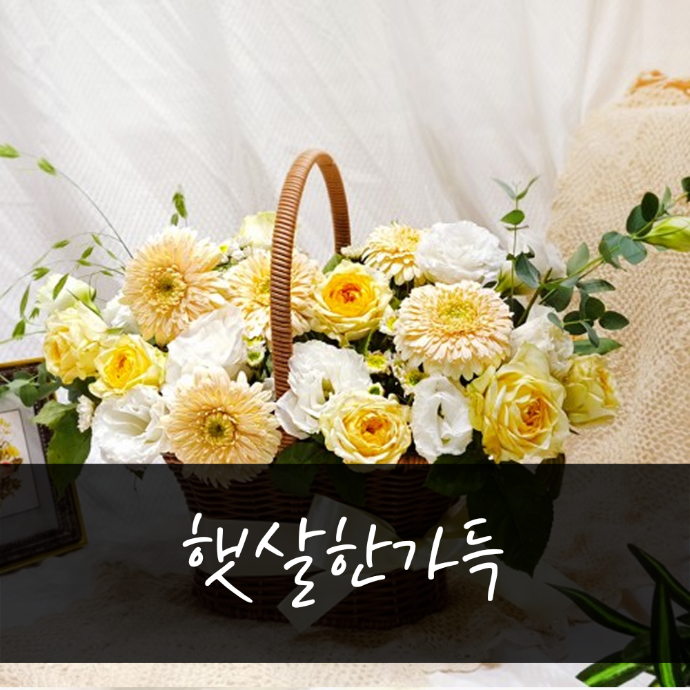 A155 55000원