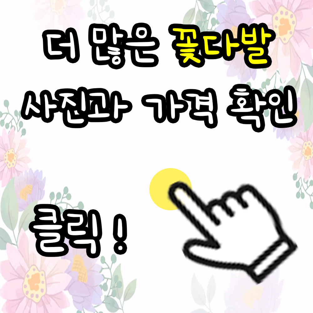 꽃다발 더 보기