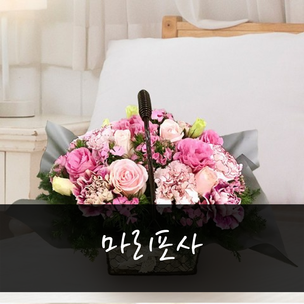 A146 50000원