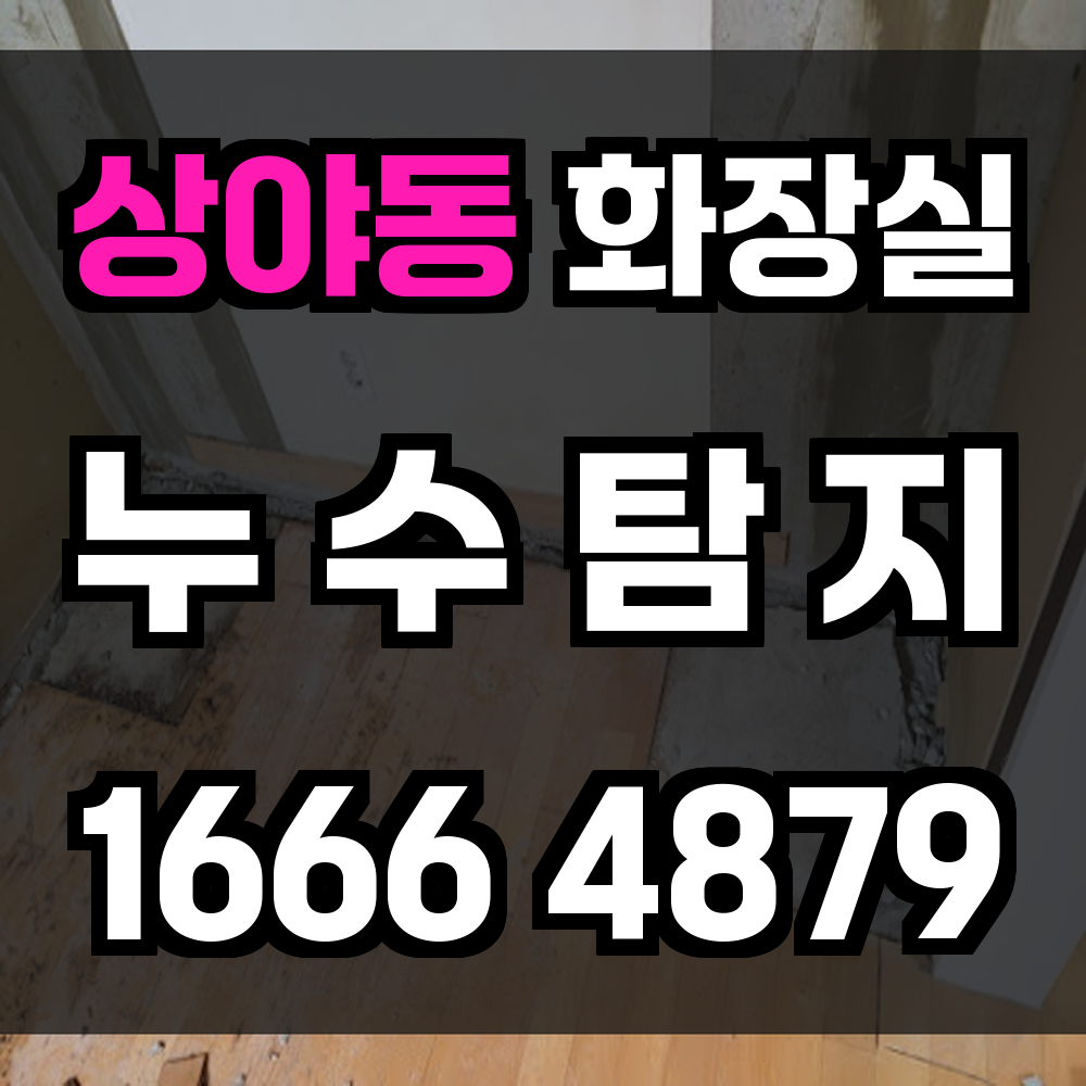 상야동 화장실 누수탐지 정확하고 빠른 탐지 기술로 대응합니다