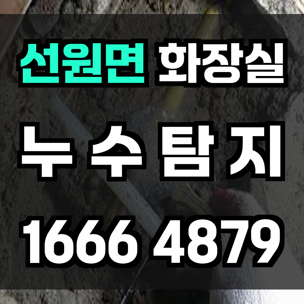 선원면 화장실 누수탐지 신속한 확인과 정밀 진단