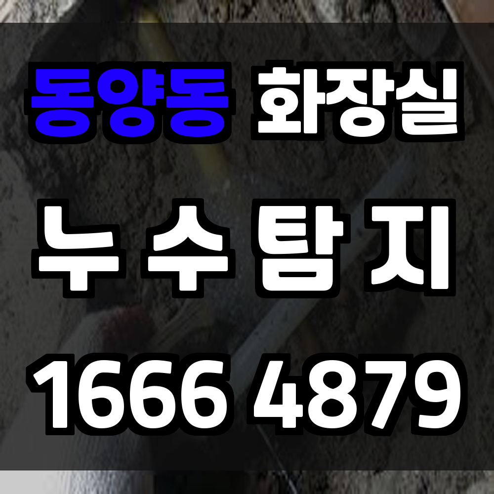동양동 화장실 누수탐지로 생활 피해 최소화와 안전 확보