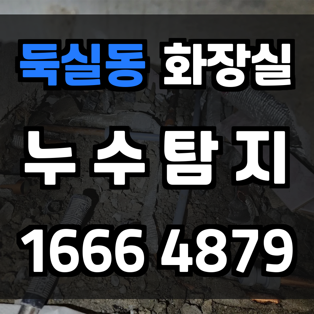 둑실동 화장실 누수탐지로 피해 예방과 공간 보호