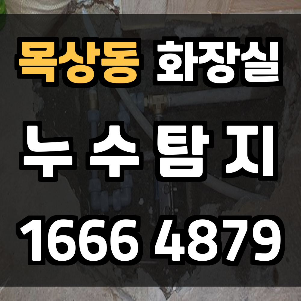 목상동 화장실 누수탐지로 구조 안전과 위생 동시 확보