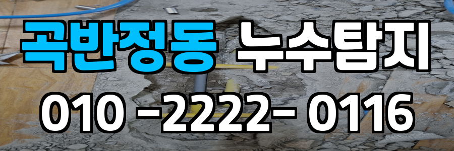 곡반정동 누수탐지 비용
