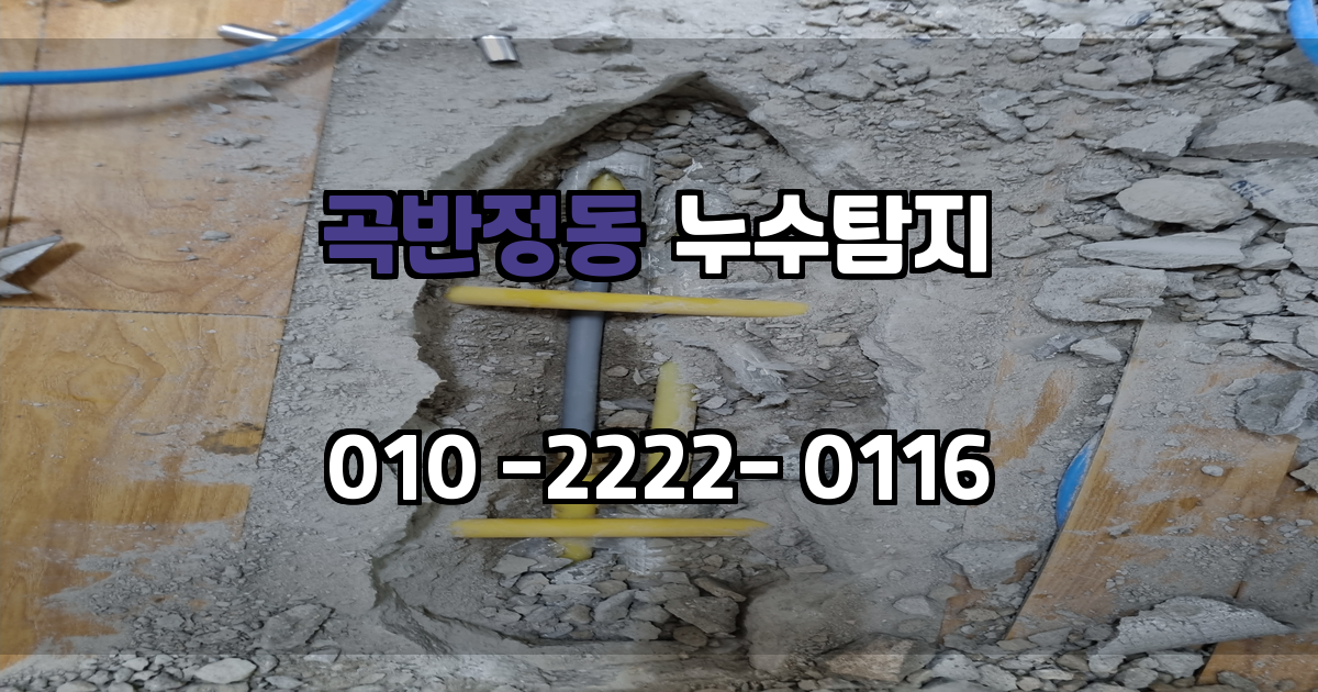 곡반정동 누수탐지