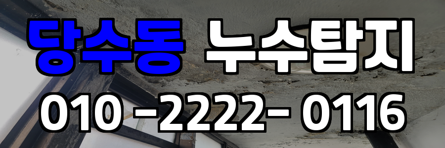 당수동 누수탐지 비용