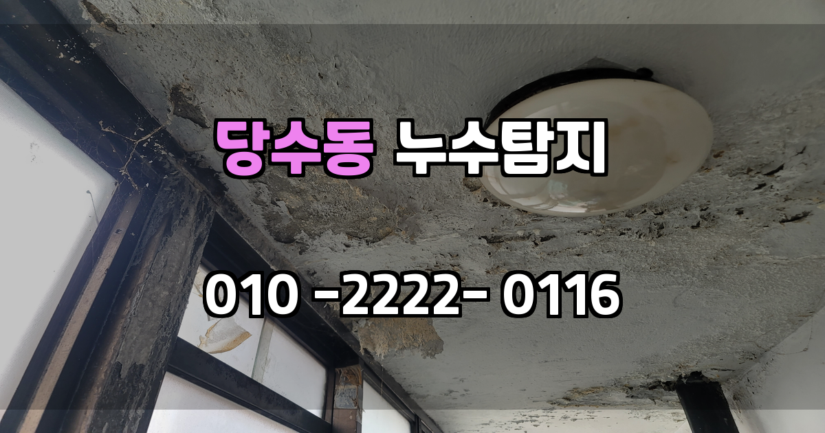 당수동 누수탐지