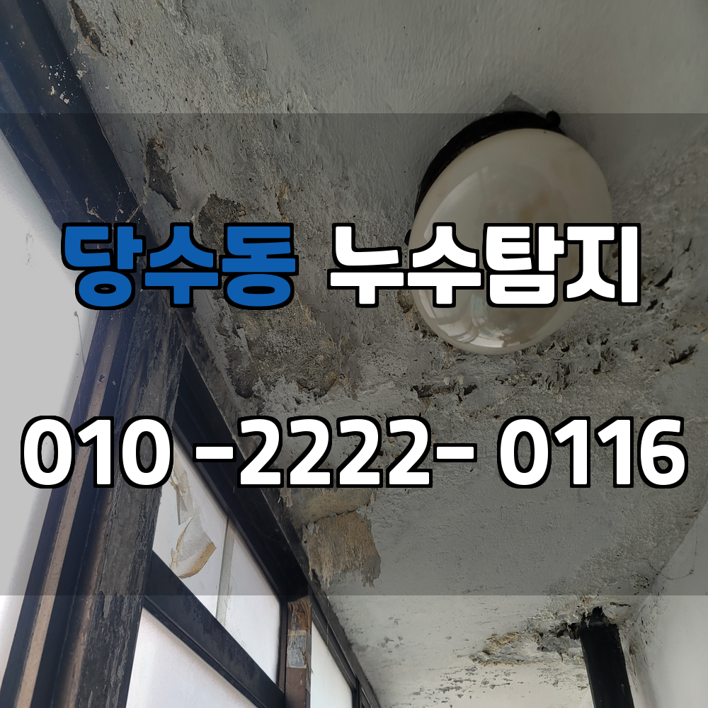 당수동 누수탐지 서비스 지역