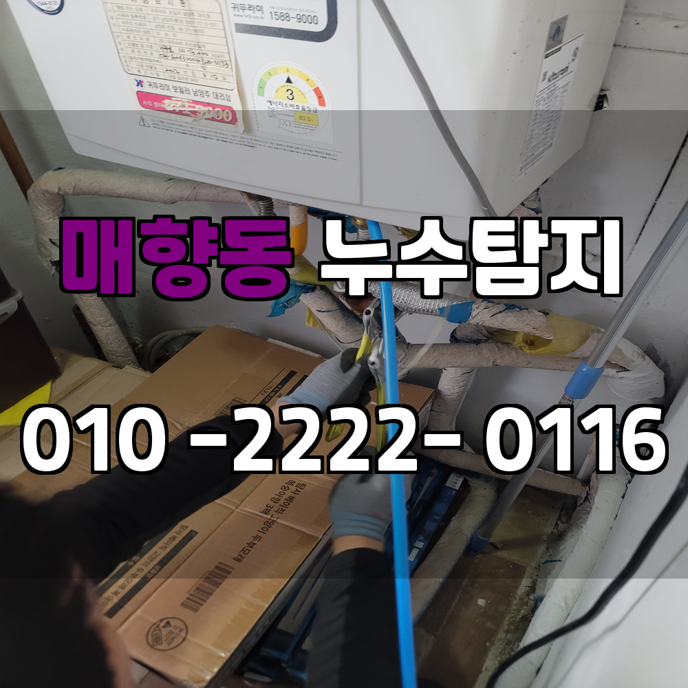 매향동 누수탐지 서비스 지역