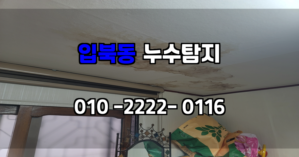 입북동 누수탐지