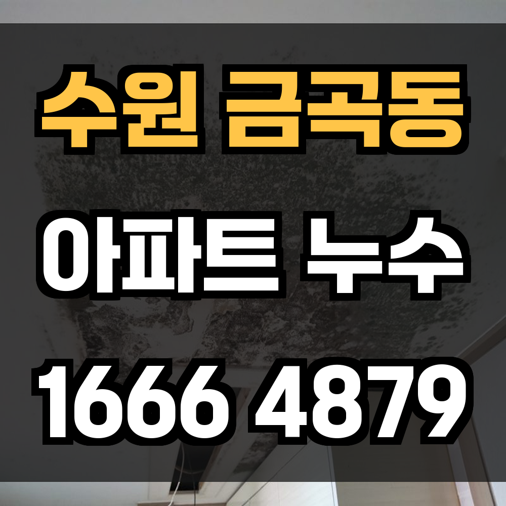 수원 금곡동 아파트 누수탐지 빠른 진단으로 큰 피해를 예방하세요