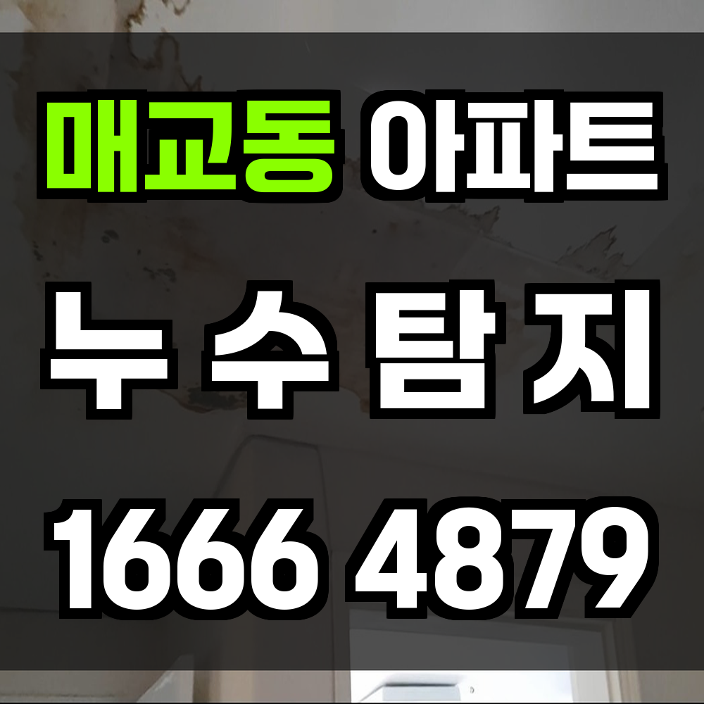 매교동 아파트 누수탐지 조기 진단으로 안전 확보