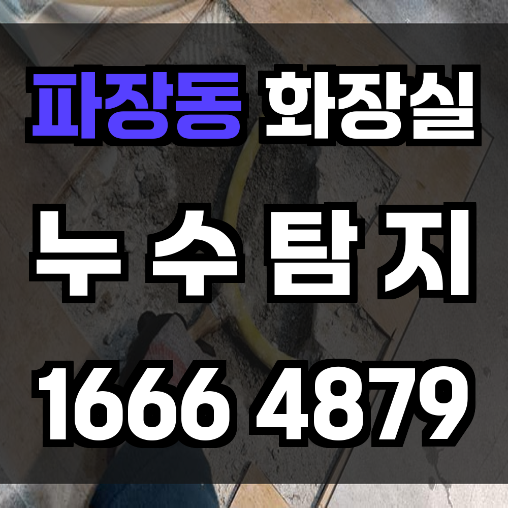 파장동 화장실 누수탐지 비파괴 장비로 정확하게 확인하세요