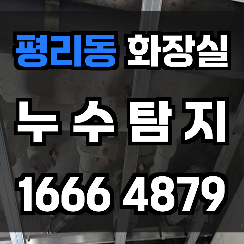 평리동 화장실 누수탐지 빠르고 정밀한 전문가 진단