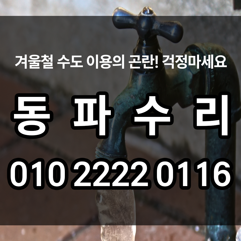 동파수리