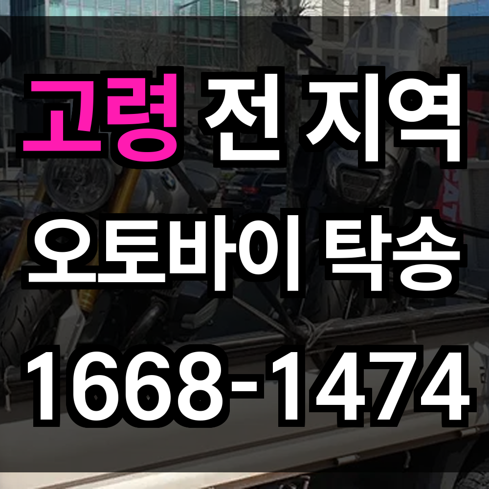 고령 오토바이 탁송