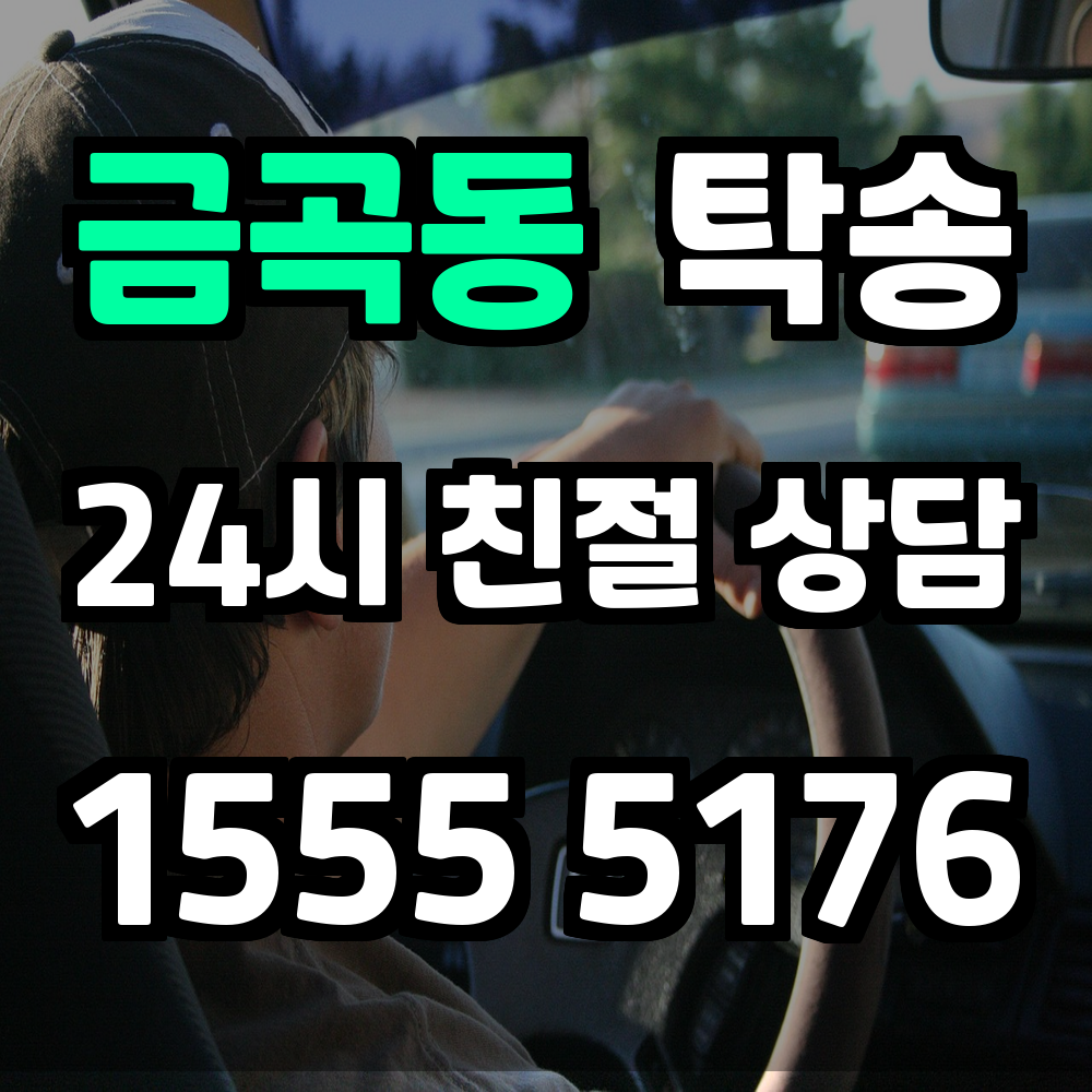 금곡동 탁송 운전 없이 차량을 정확하게 이동시키는 방법