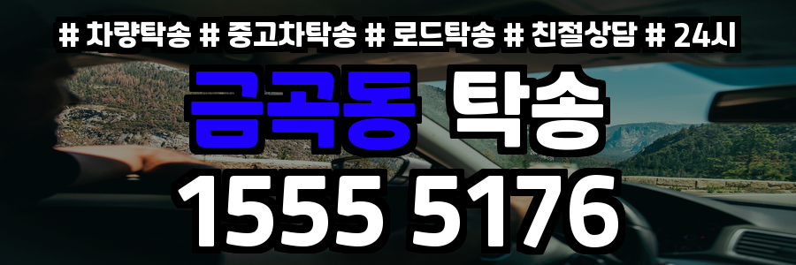 금곡동 탁송