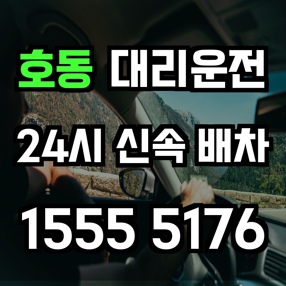 호동 대리운전