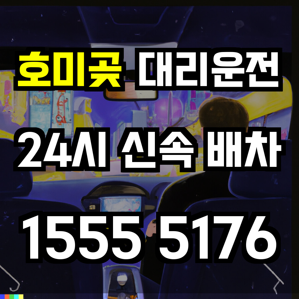 호미곶 대리운전
