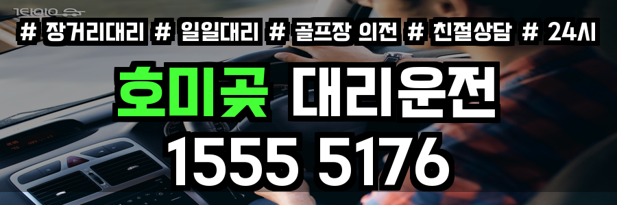 호미곶 대리운전