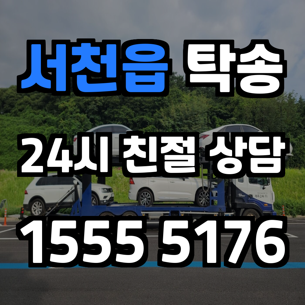 서천읍 탁송 차량을 정확하고 안전하게 운송하는 현명한 선택