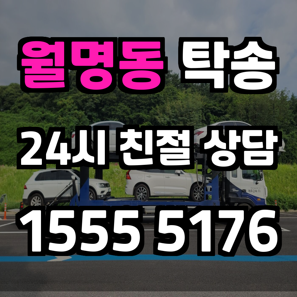 월명동 탁송 차량을 정확하고 안전하게 이동하는 가장 간편한 방법