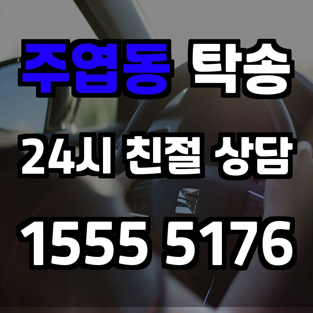 주엽동 탁송 전문 기사가 운전하는 안전하고 신속한 차량 운송 서비스