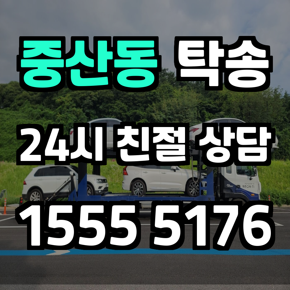 중산동 탁송 정해진 시간과 장소로 안전하게 운행되는 차량 전문 서비스