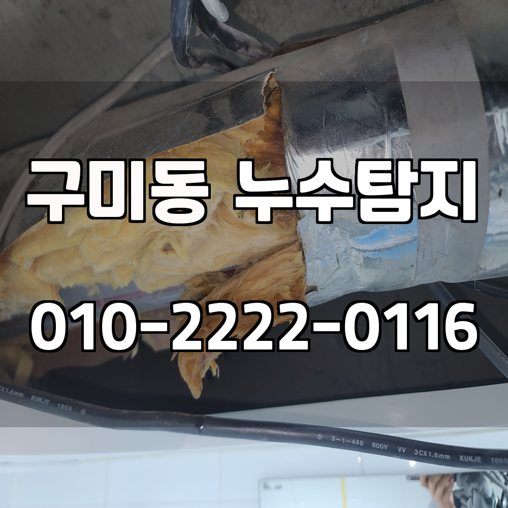 구미동 누수탐지 서비스 지역